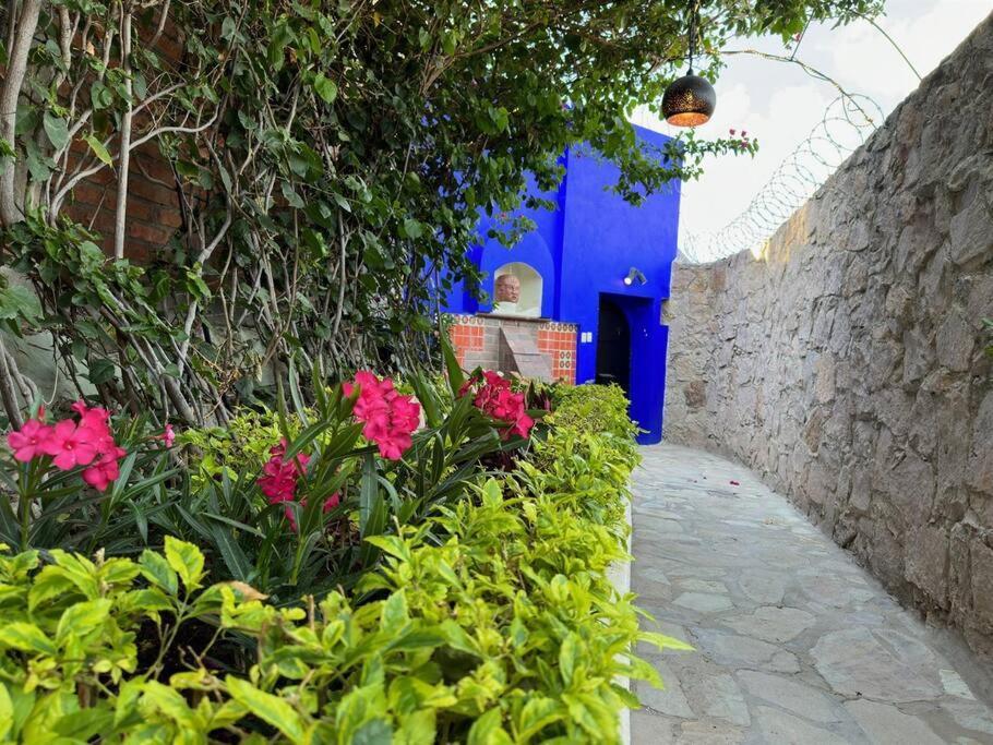 Сasa de vacaciones Casa Del Alba - A Magical And Private Downtown Oasis! Guanajuato