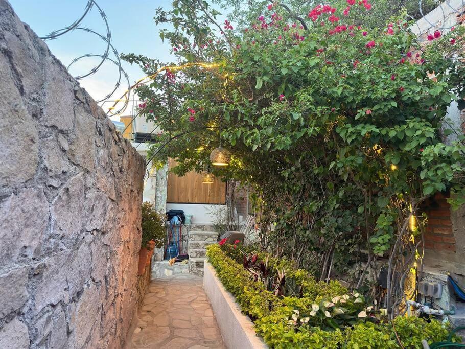 Сasa de vacaciones Casa Del Alba - A Magical And Private Downtown Oasis! Guanajuato